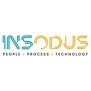 Custom WordPress website SEO and design - Insodus logo emphasizing people process and technology in a modern design - © 2025 Reboot Websites